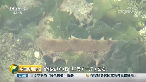 中国财经报道 《中国财经报道》 20181022 11:00