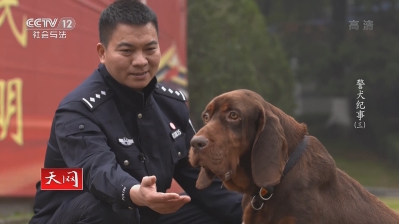 天网 《天网》 20220803 警犬纪事（3）