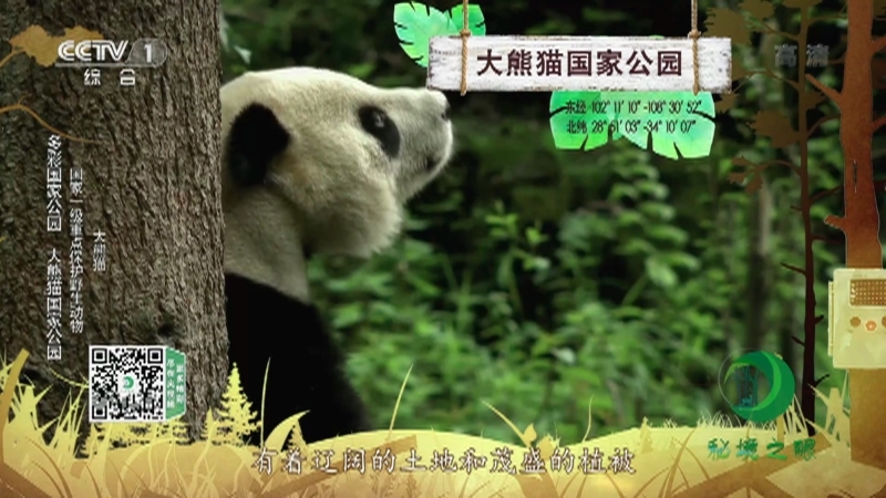 秘境之眼 《秘境之眼》 大熊猫/黑熊/川金丝猴/四川羚牛/藏酋猴 20220102