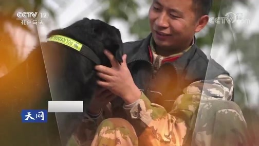 天网 《天网》 20190208 人犬情缘·追风少年