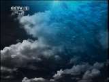 人与自然 人与自然 2011年 第76期