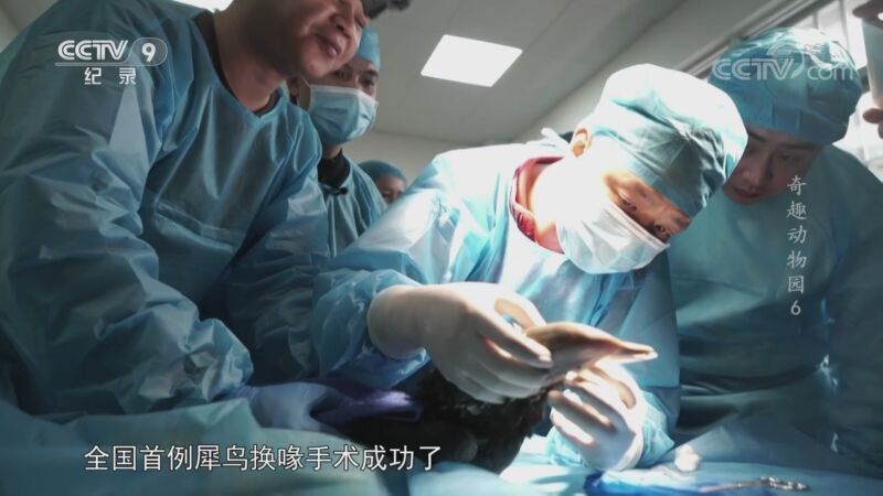 《奇趣动物园》 第六集 重生与团聚