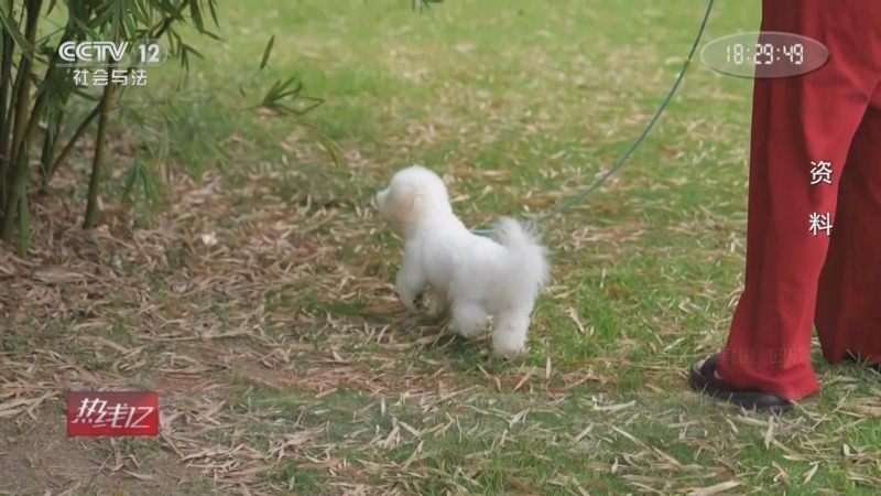 《热线12》 20251202