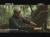 生财有道 《生财有道》 20141107 黄文清的鳄鱼财富