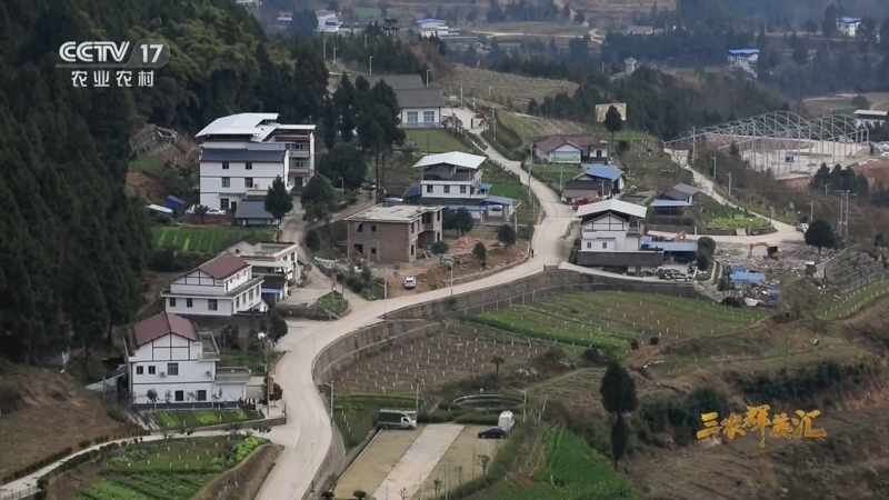 三农群英汇 《三农群英汇》 20260305 岫云村的答卷