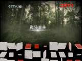 地理中国 谷地疑云 《地理中国》20110823