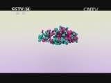 智慧树 《智慧树》 20140409