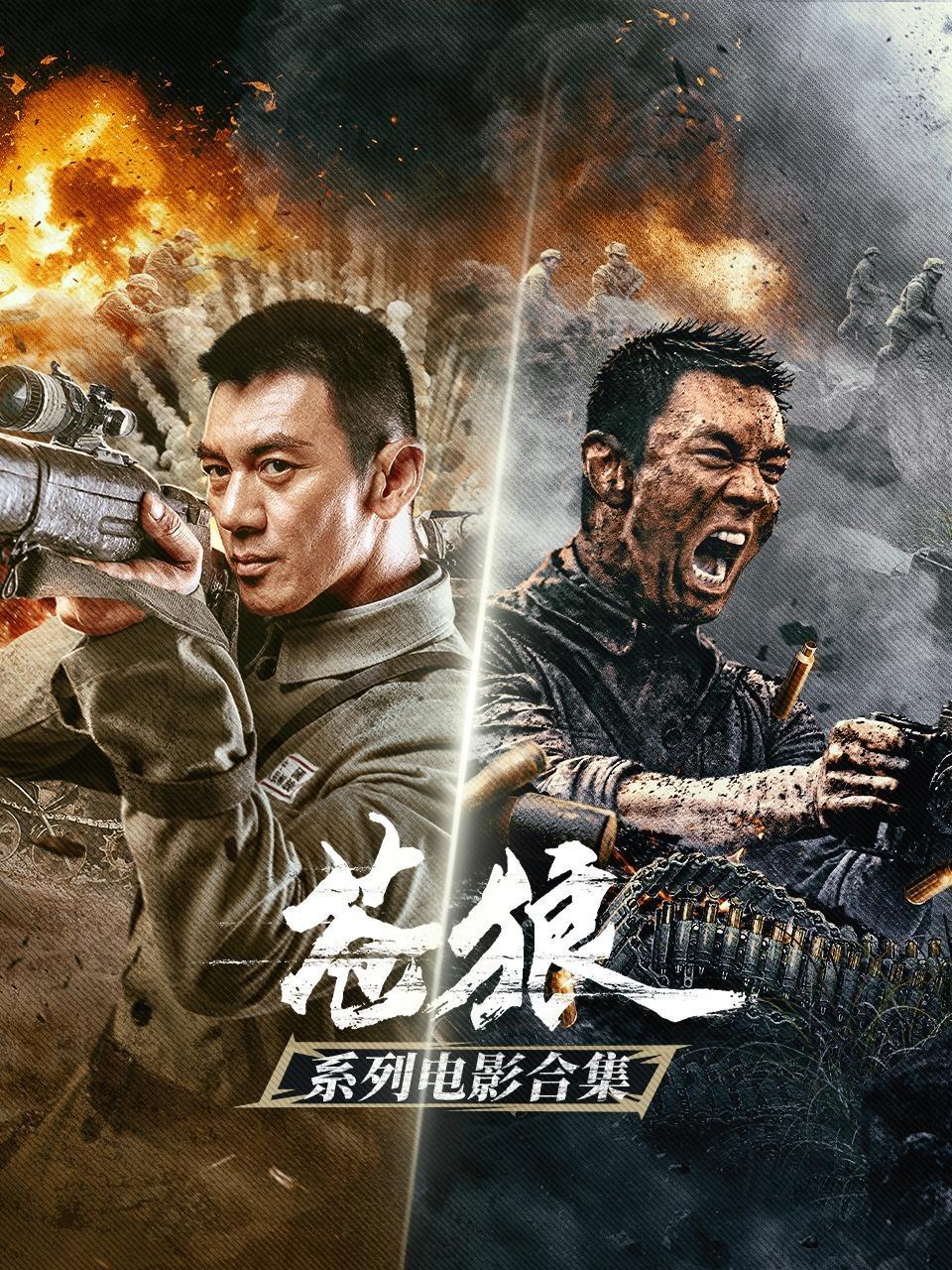 苍狼系列电影合集