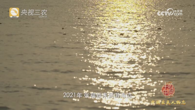 2023丰收中国 [2023丰收中国]中国农民人物志：张福锁