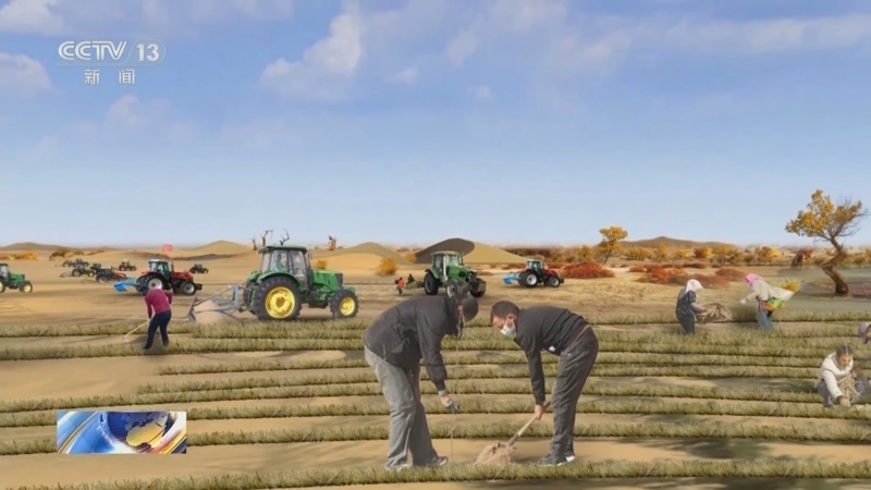 新闻直播间 《新闻直播间》 20251129 13:00