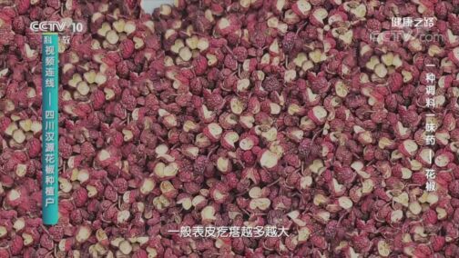 健康之路 《健康之路》 20200823 一种调料一味药——花椒