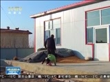 晚间报道 《晚间报道-内蒙古》 20170103