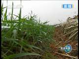 新闻联播 新闻联播 2010-12-17 21:00