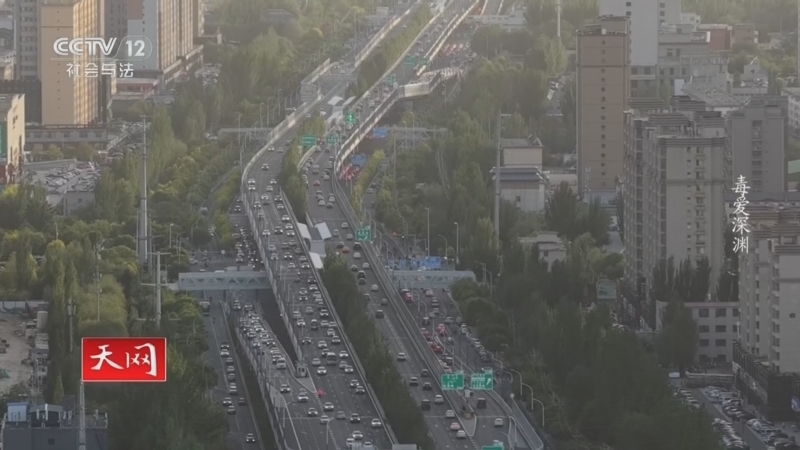 《天网》 20260211 毒爱深渊