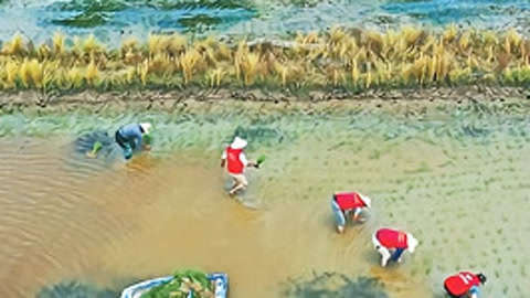 1818黄金眼 1818黄金眼20200805