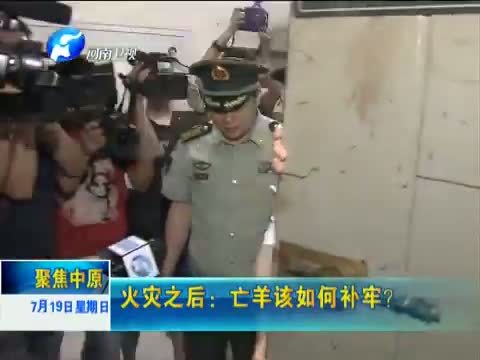 聚焦中原 《聚焦中原》 20150719 火灾之后：亡羊该如何补牢？