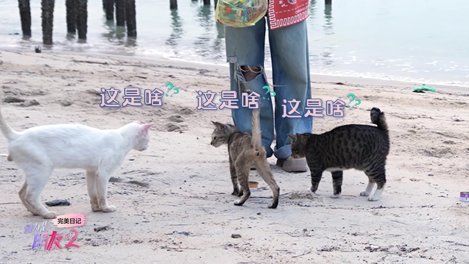 因为是朋友呀第二季 《因为是朋友呀第二季》第9期