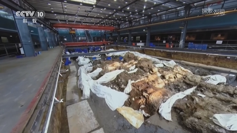 《探索·发现》 20260410 走进发掘现场（10）