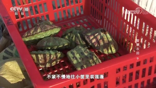 我爱发明 《我爱发明》 20190711 智慧农田9