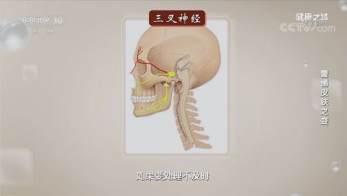 健康之路 《健康之路》 20200813 警惕皮肤之变