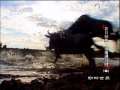 动物世界 动物世界 2009年 第174期