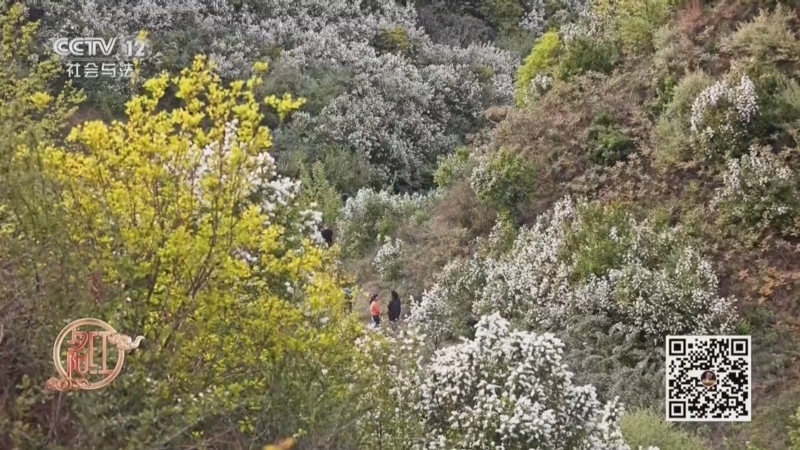 《夕阳红》 20260321 春分养和（2）