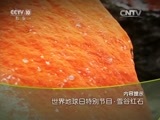 地理中国 《地理中国》 20160422 世界地球日特别节目·雪谷红石