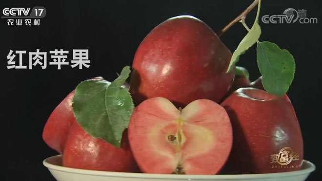 致富经 《致富经》 20200101 湘妹子的金果果