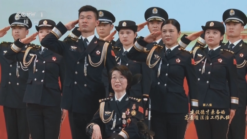 《习近平法治思想系列讲读》 第8集 建设德才兼备的高素质法治工作队伍