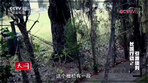 天网 《天网》 20191022 长城行动 第二集 引渡谈判