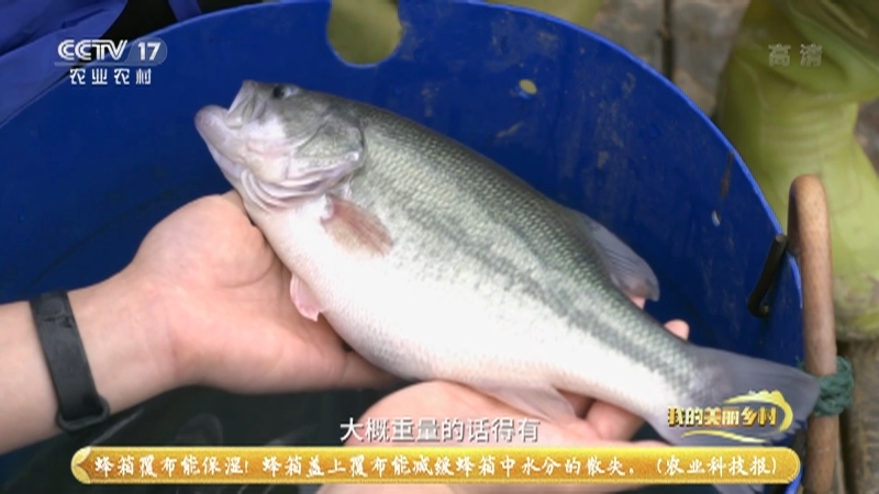 《我的美丽乡村》 20210725 南金幸福长