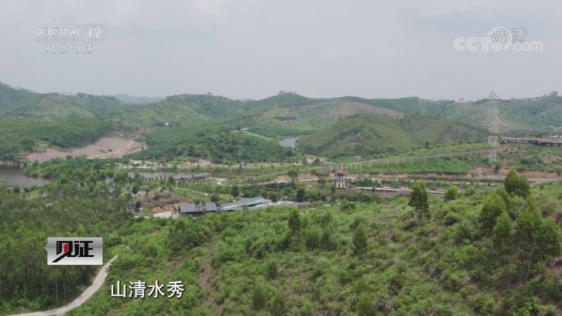 见证 《见证》 20200918 见证湛江（三） 金牌调解员