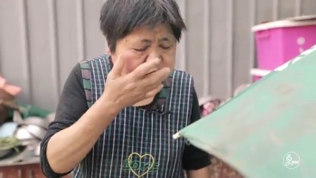 二更视频 杭州妈妈养209个