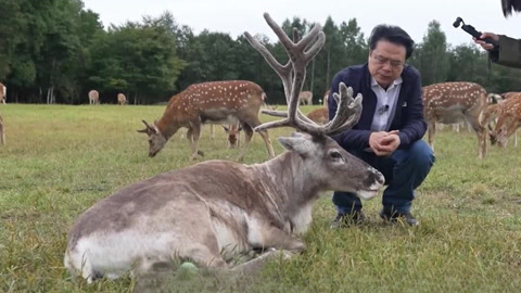 阅见山海第2季 陈彦被鹿“蹭” 杨知寒被萌翻 鹿苑喂鹿畅谈“它”