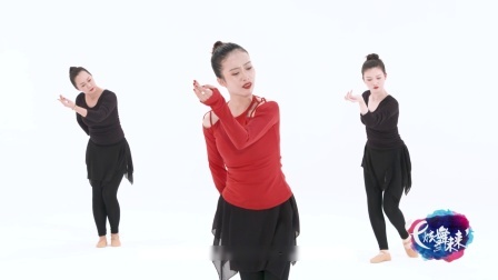 雪落下的声音-李莹（导视）