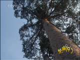 芝麻开门【央视】 芝麻开门 2010年 第235期
