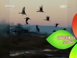 新闻袋袋裤 《新闻袋袋裤》 20170228