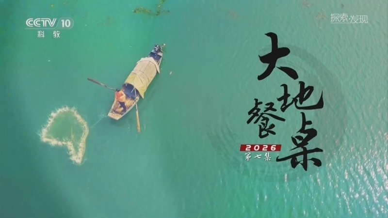 《探索·发现》 20260218 大地餐桌2026（7）