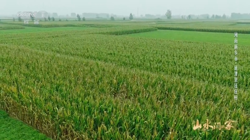 《山水间的家》第四季 20251101