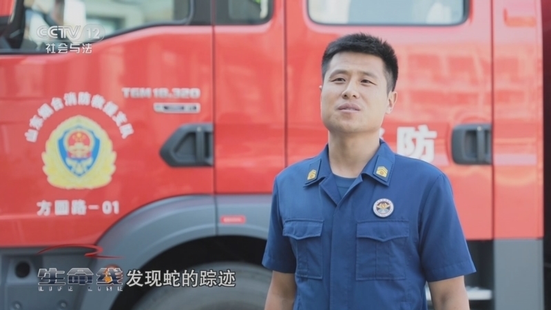生命线 《生命线》 20240919