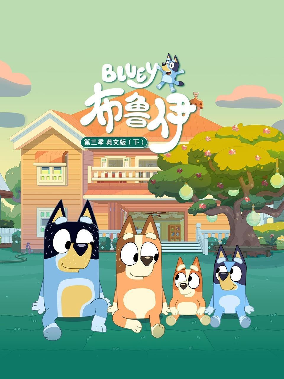 布鲁伊 第三季 英文版（下）