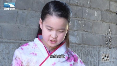 包公审石头奇案 171022