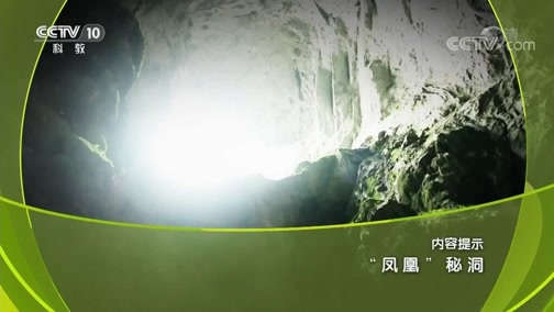 地理中国 《地理中国》 20190202 “凤凰”秘洞