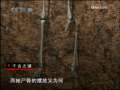 走近科学 千古之谜