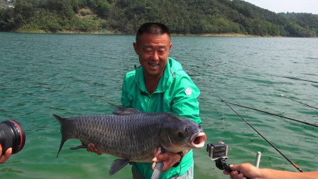 游钓中国 第四季 清江猎青最终回 欧式浮球显威力