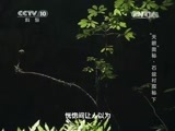 地理中国 《地理中国》 20150425 “天眼”奥秘·石盆村探秘（下）