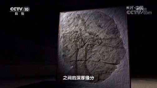地理中国 《地理中国》 20181215 龙鸟谜题（下）