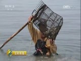 生财有道 《生财有道》 20170801 生态中国系列（沿海行）——海岛慢生活 成就新财富