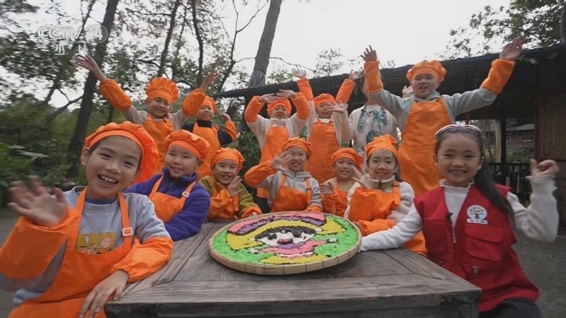 智慧树 《智慧树》 20250422