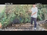 致富经 《致富经》 20150209 为了买房子 老婆回乡养野猪